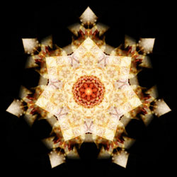 M-377　ジャーニーの画像