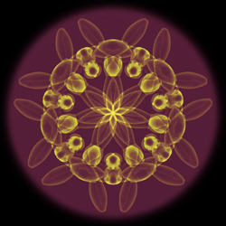 M-388　エンジェルフラワーの画像