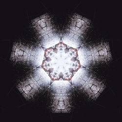 M-419　グルーピングの画像