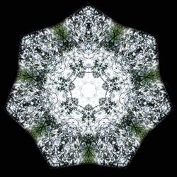 M-422　ナチュラルサインの画像