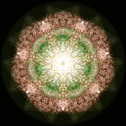 M-440　イグナシアの画像