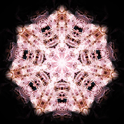 M-459　パープルライティングの画像