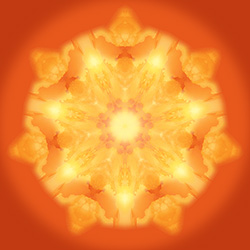 M-470　ライトドラゴンの画像