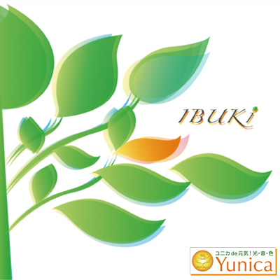 CD　IBUKI　の画像