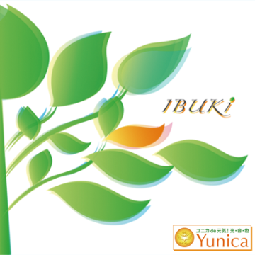 CD　IBUKI　の画像