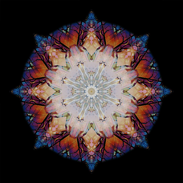 M-487　スレンダークイーン　の画像