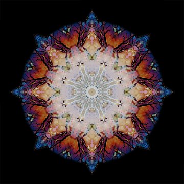 M-487　スレンダークイーン　の画像