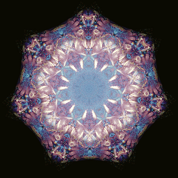 M-495　ブルースプリングス　の画像