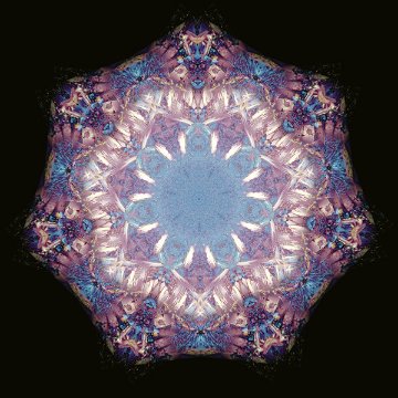 M-495　ブルースプリングス　の画像