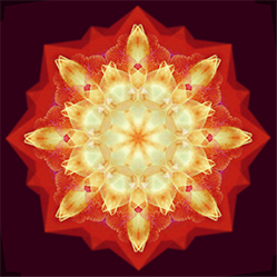 M-526　光の誕生の画像