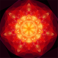 M-538　レッドクロスの画像