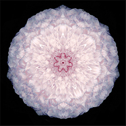 M-542　天使の生命の画像