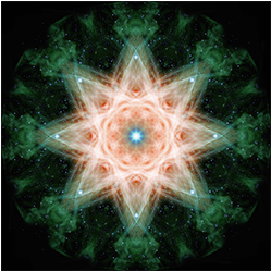 M-558　スタータオⅡの画像