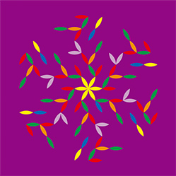 M-570　パープルツリーの画像