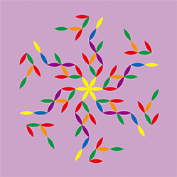 M-571　ライトパープルの画像