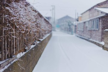 川上 直 作「winter-4」プリント単体の画像