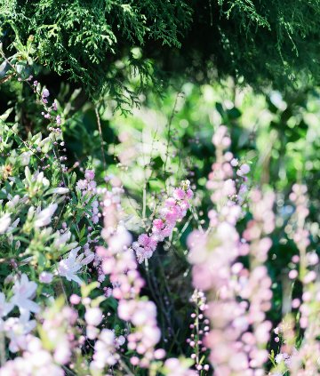 土田 貴文 作　「Flower-7」プリント(単体)　の画像