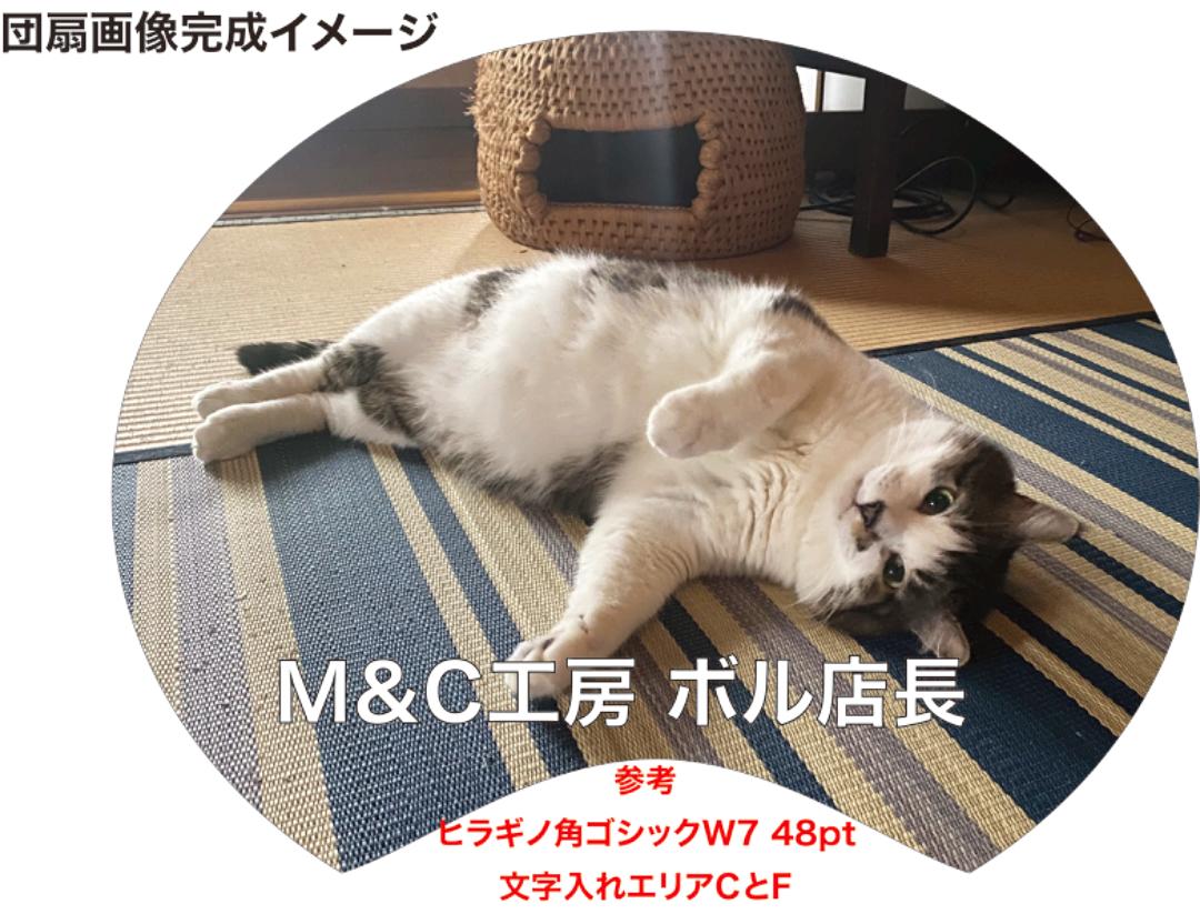 【1〜5枚注文】オーダー制作団扇・標準(白)の画像