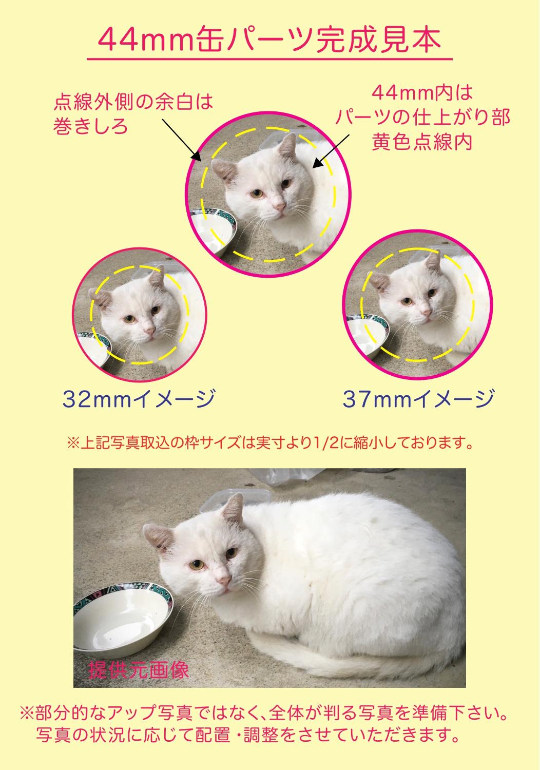 【オーダー制作】ONEデザインバリューパックの画像