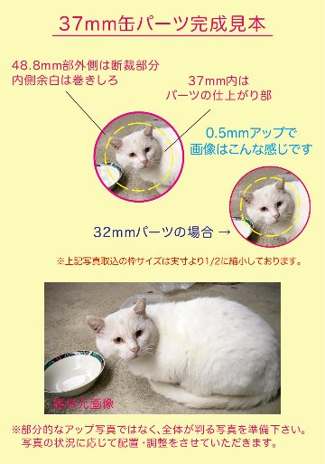 【オーダー制作】ONEデザインバリューパックの画像