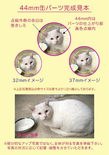【オーダー制作】ONEデザインバリューパックの画像