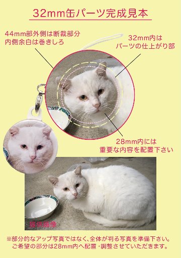 【オーダー制作32mm】安全ピンの画像