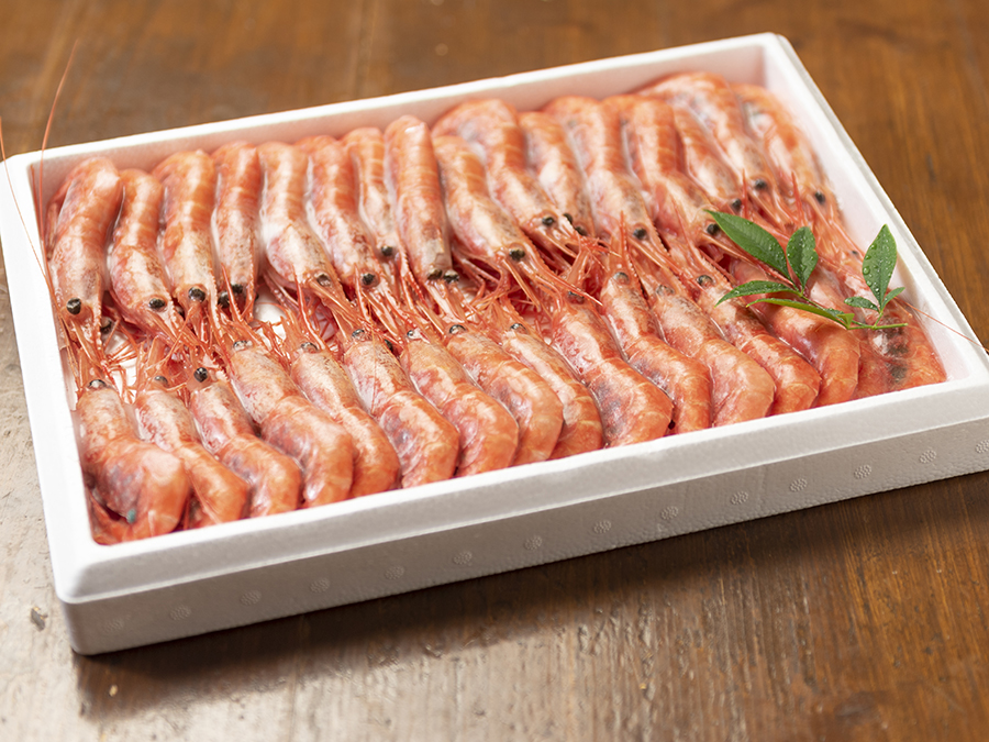 甘エビ （３０尾入） 【冷凍・生】 船内冷凍で鮮度抜群！の画像