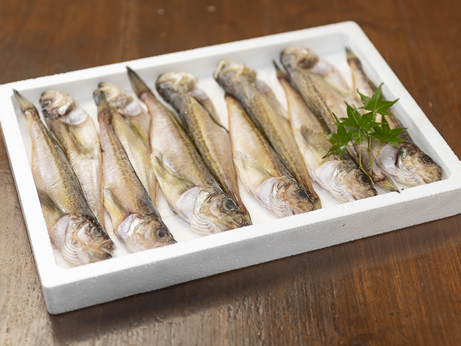 干しハタハタ（10～14尾入） 【冷凍・生】 調理法の応用がきく、おいしい干物の画像