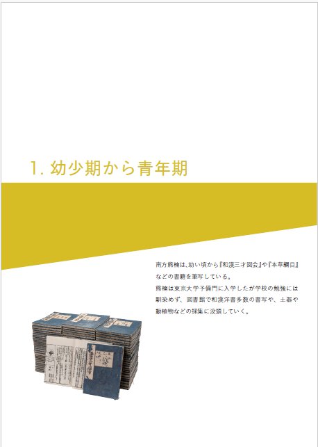 展示図録の画像