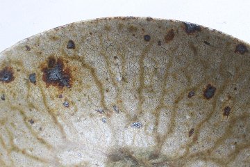馬野真吾　飯碗（大）の画像
