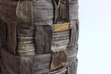 SOSAKUBAG　　「acorn」の画像