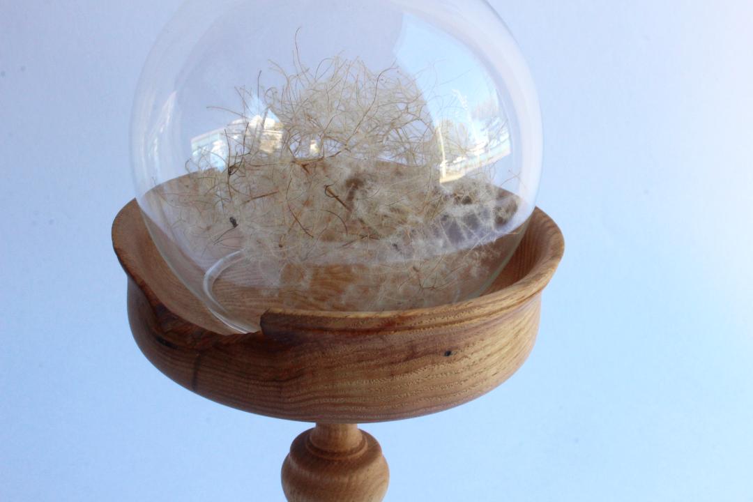 久銘　コンポート栗（ガラスドーム付）の画像