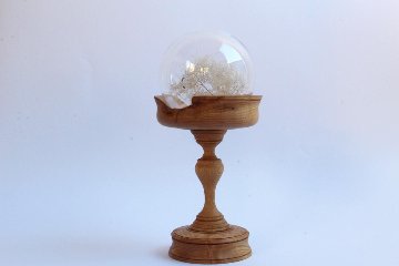 久銘　コンポート栗（ガラスドーム付）の画像