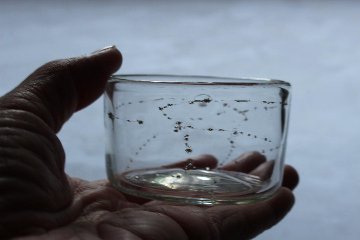 早崎志保　てんてん星の平かくぐい呑の画像