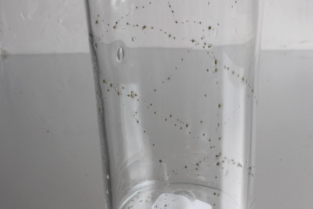 早崎志保　てんてん星のカフェグラスの画像