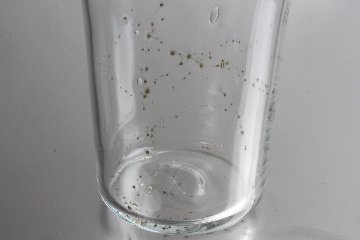 早崎志保　てんてん星のカフェグラスの画像