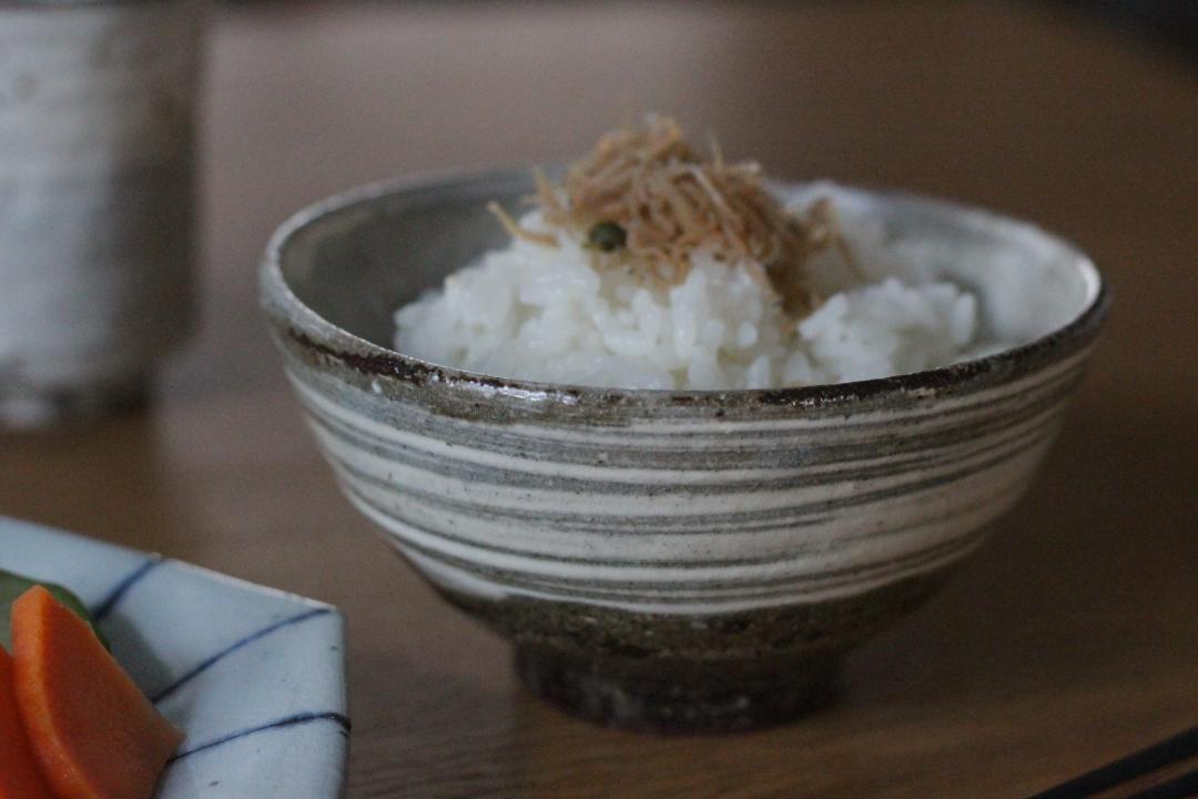 坪井俊憲　刷毛目飯碗の画像