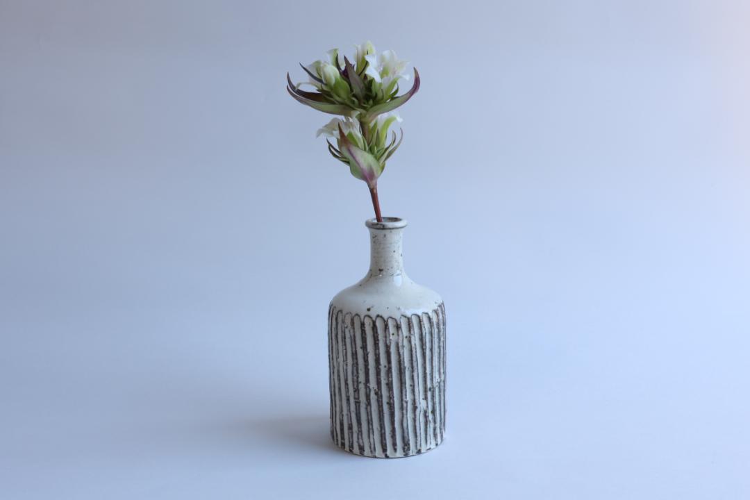 坪井俊憲　鎬花生の画像