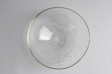 早崎志保　てんてん星の麺鉢画像
