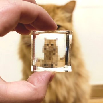 ピクスレンズ　PixLens monoli ピスセルミラー PixLens (Low-res) – Monoli SHOP