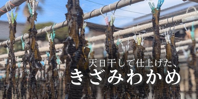 下関の太陽の下で天日干しされる伝統製法のわかめ