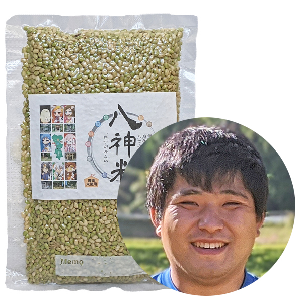菅原自然栽培古代米【緑米】500g袋画像