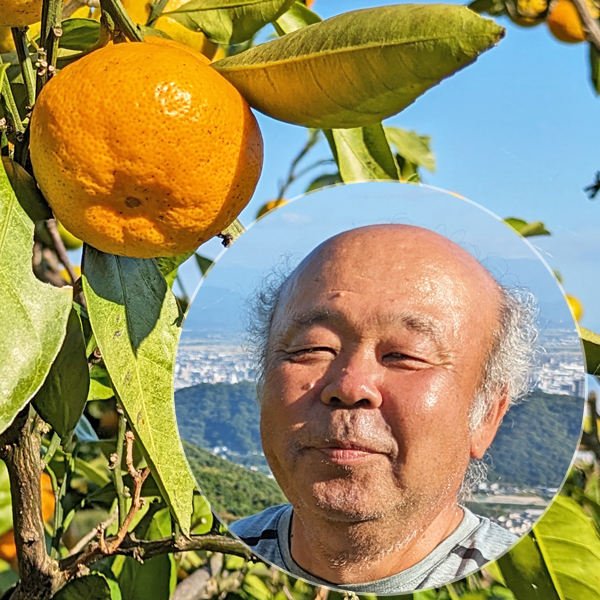 ✨安心安全！農薬不使用！自然栽培✨ 丹波産 果物詰め合わせ 甘柿