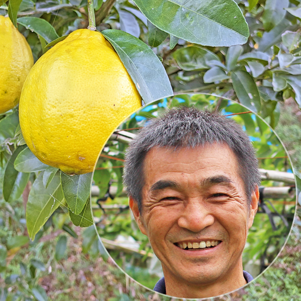 高塚自然栽培レモン-りのか(瑠の香)-※11月「グリーンレモン(りのか)」の画像
