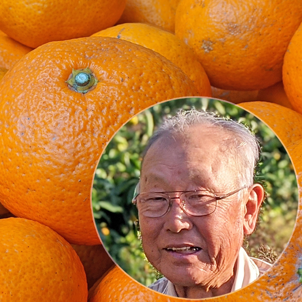 商品から探す 果物 柑橘 みかん ナチュラルスタイル