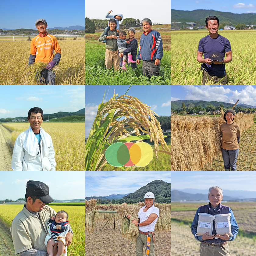 自然栽培米農家