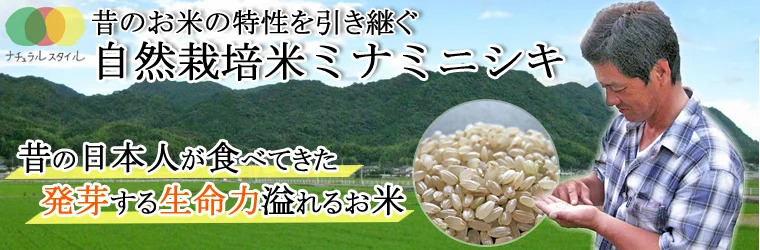 自然栽培米ミナミニシキ