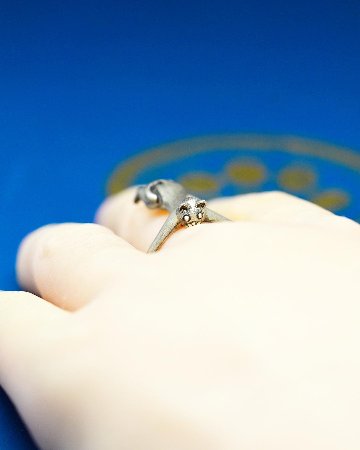 ハグ・ユー（2代目）の画像