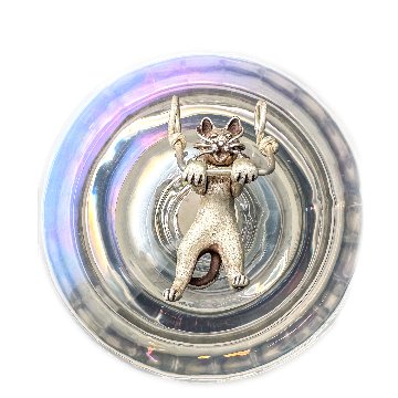 猫背の弟の画像