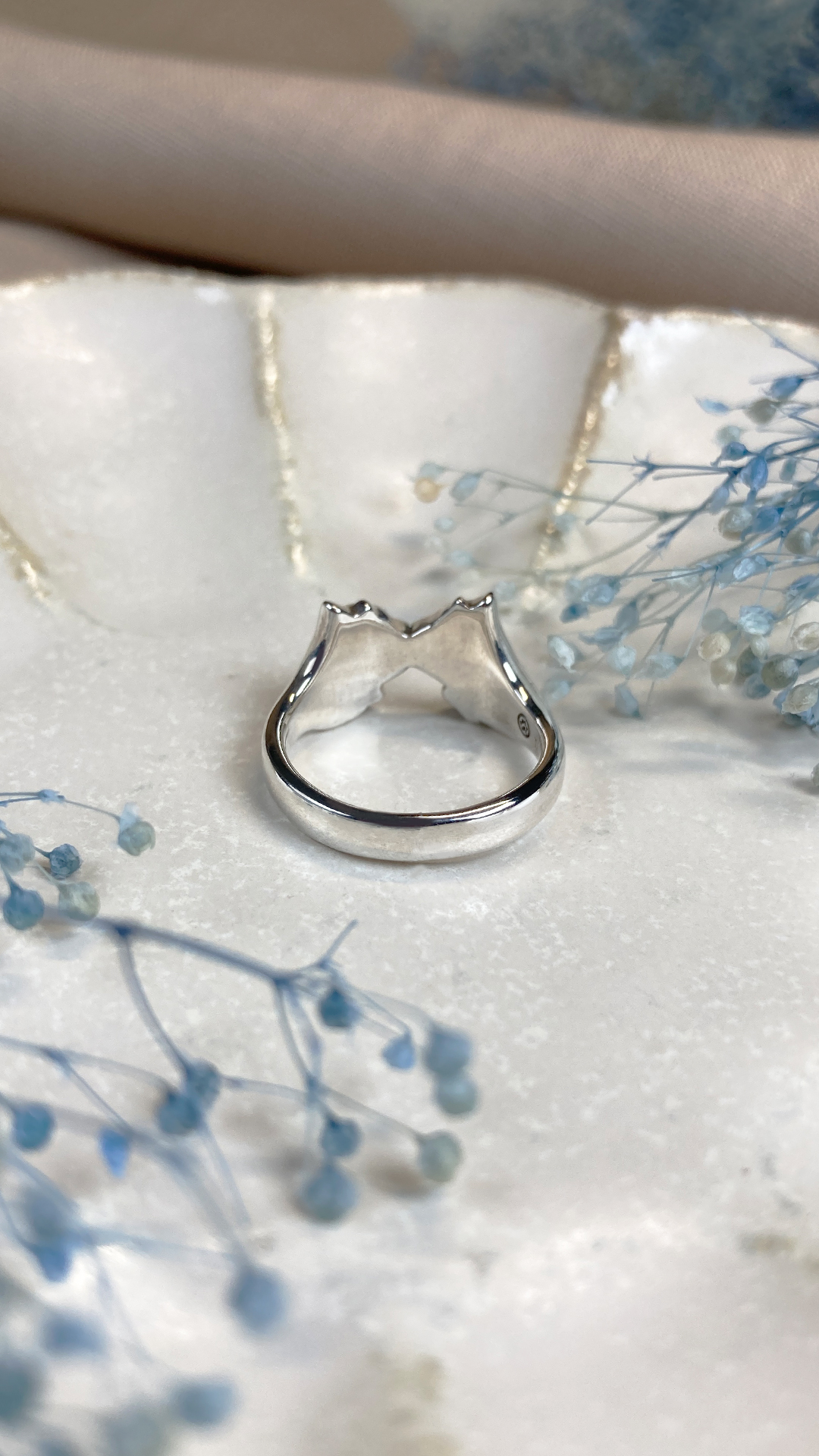 鼻でkissする仲良しねこ達のリングの画像